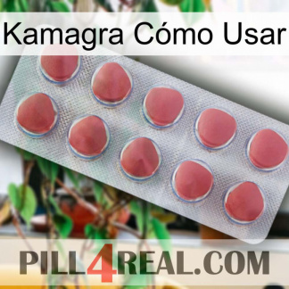 Kamagra Cómo Usar 18